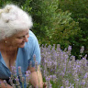 Meet your Posher, Ann mara